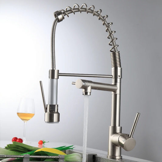 Robinet d'évier de cuisine extractible Argenté